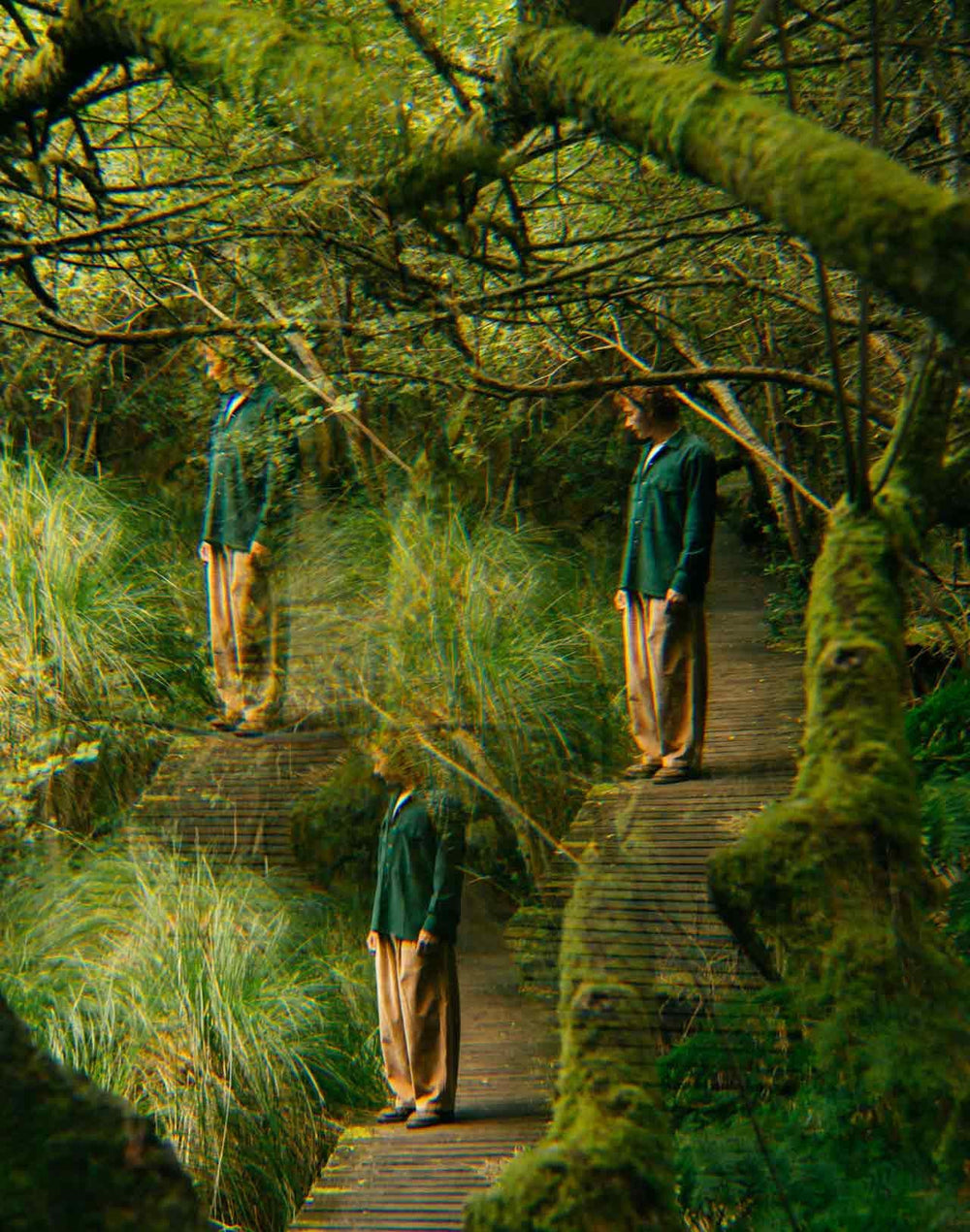 En forêt dans l'œil de Thomas Lodin