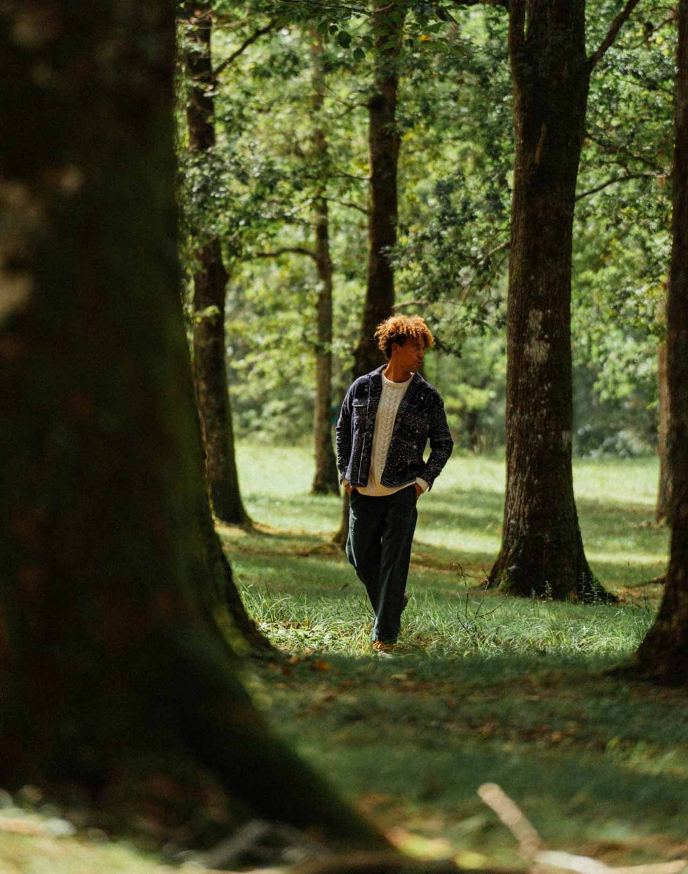 Dans la forêt d'Iraty avec Thomas Lodin