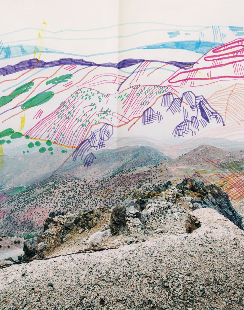 Dans les carnets de Cécile Jaillard