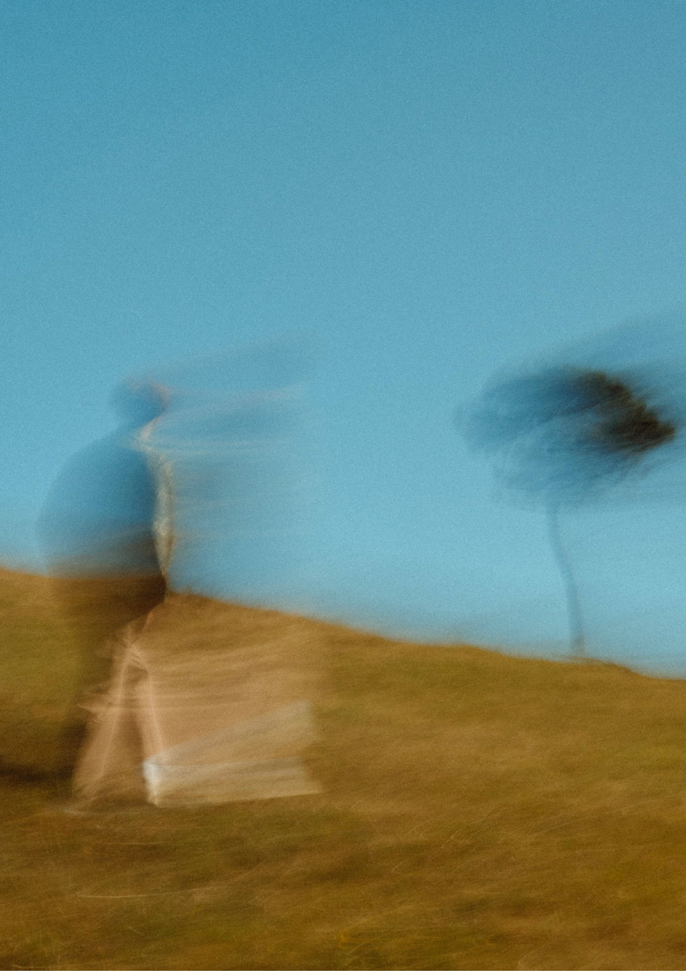 Dans l'oeil de Thomas Lodin