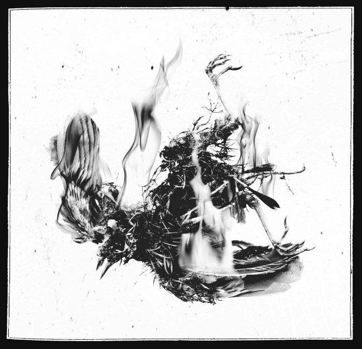 The Storm Makers, sensuelle démesure